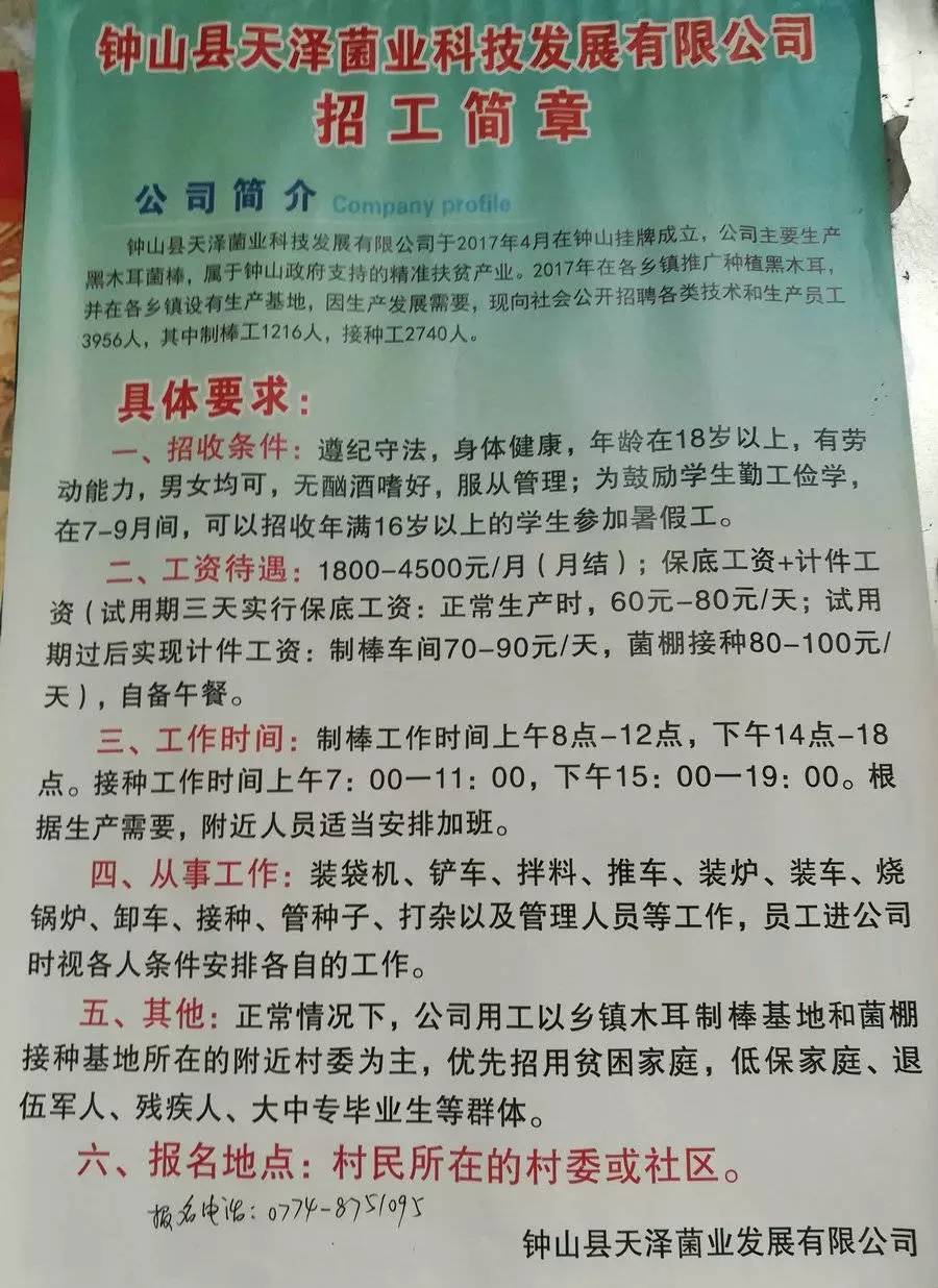 大生镇最新招聘信息全面解析