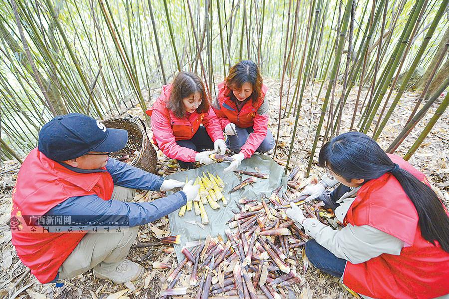 龙胜各族自治县科技局领导团队引领科技发展开启新篇章