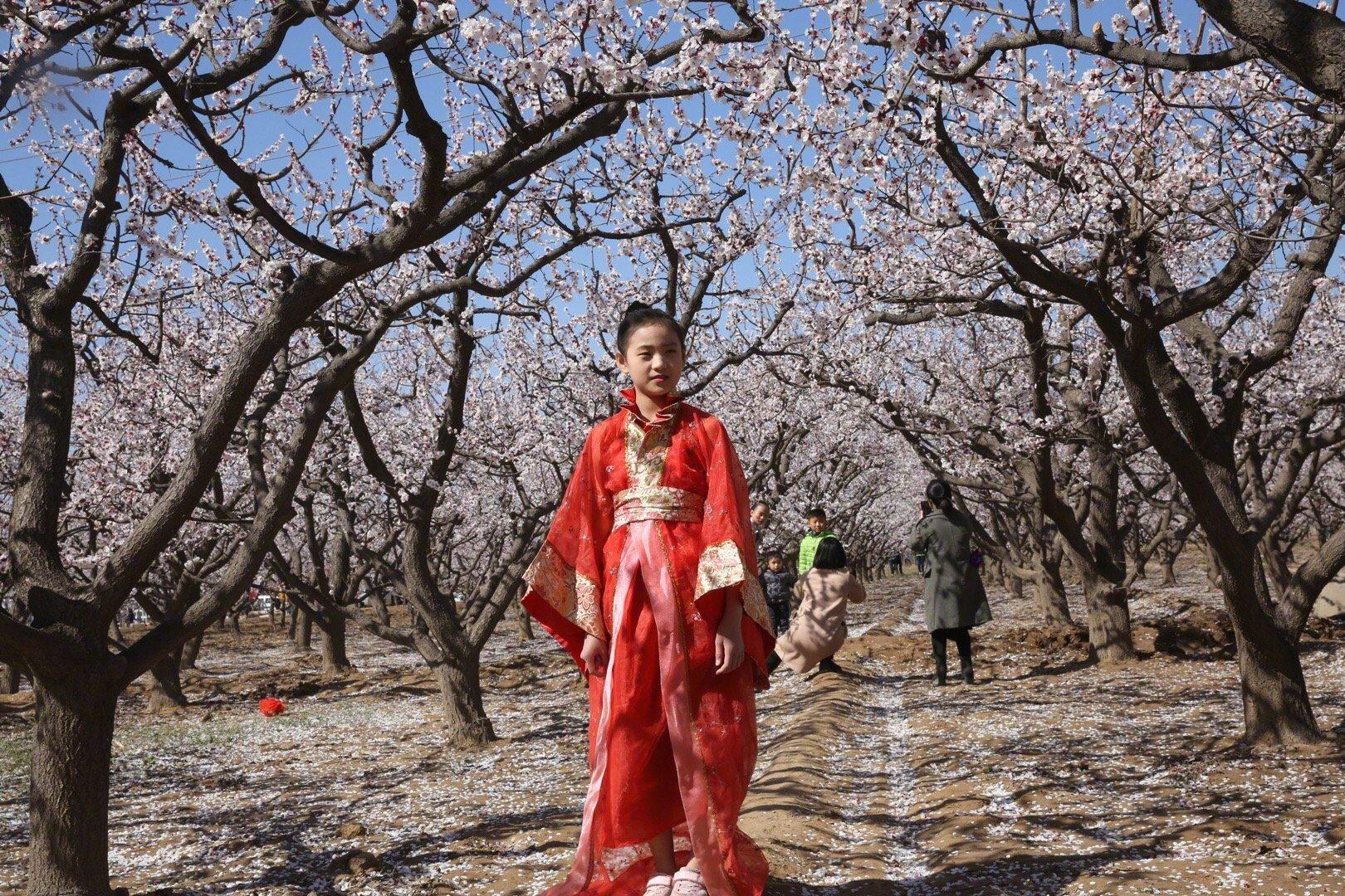 杏花镇新项目，引领地方发展的璀璨明珠闪耀登场