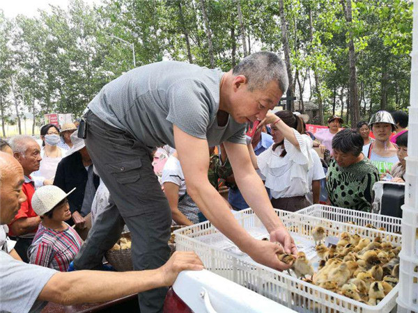 夹沟镇最新项目，引领地方发展的强大引擎