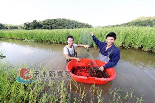 甘坑林场最新新闻动态报道