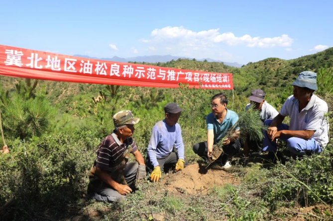 南列林场绿色发展新篇章，探索与实践最新项目