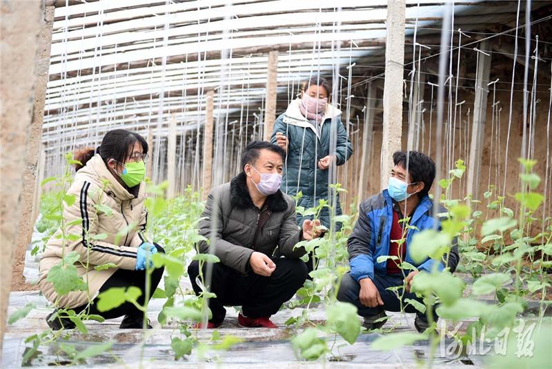 威县住房和城乡建设局最新项目概览