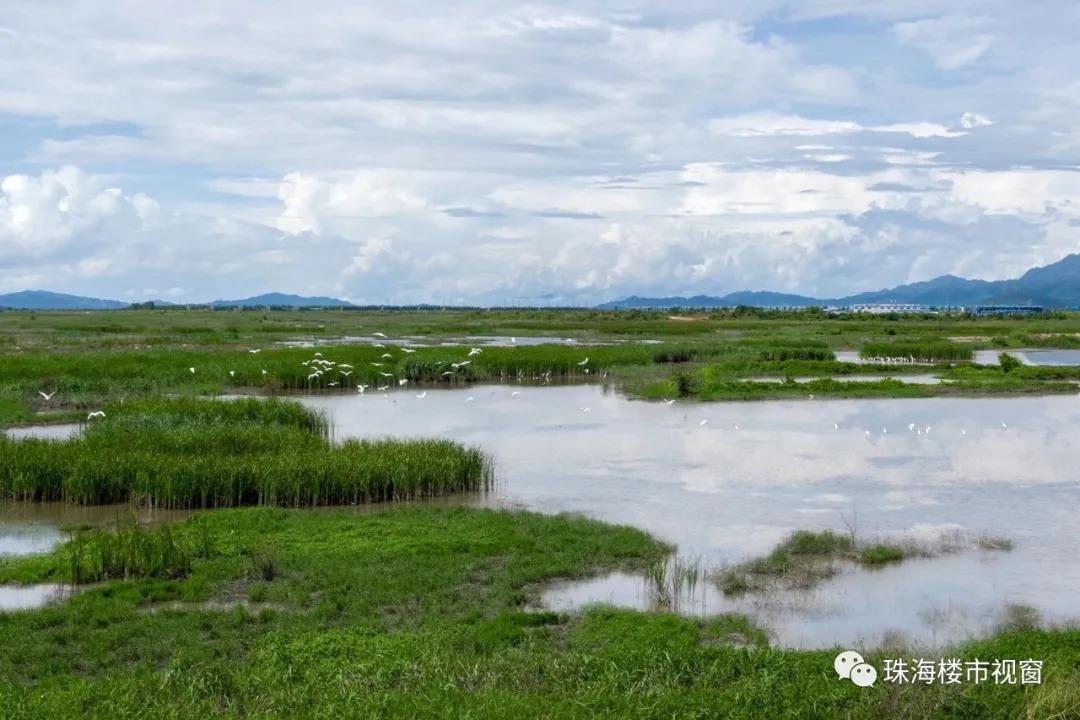 银湖湾湿地公园交通优化新闻，提升游客体验，完善交通网络