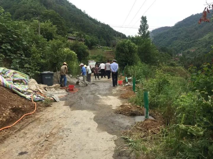 沿河村道路拓宽计划提升交通效率，最新交通新闻速递