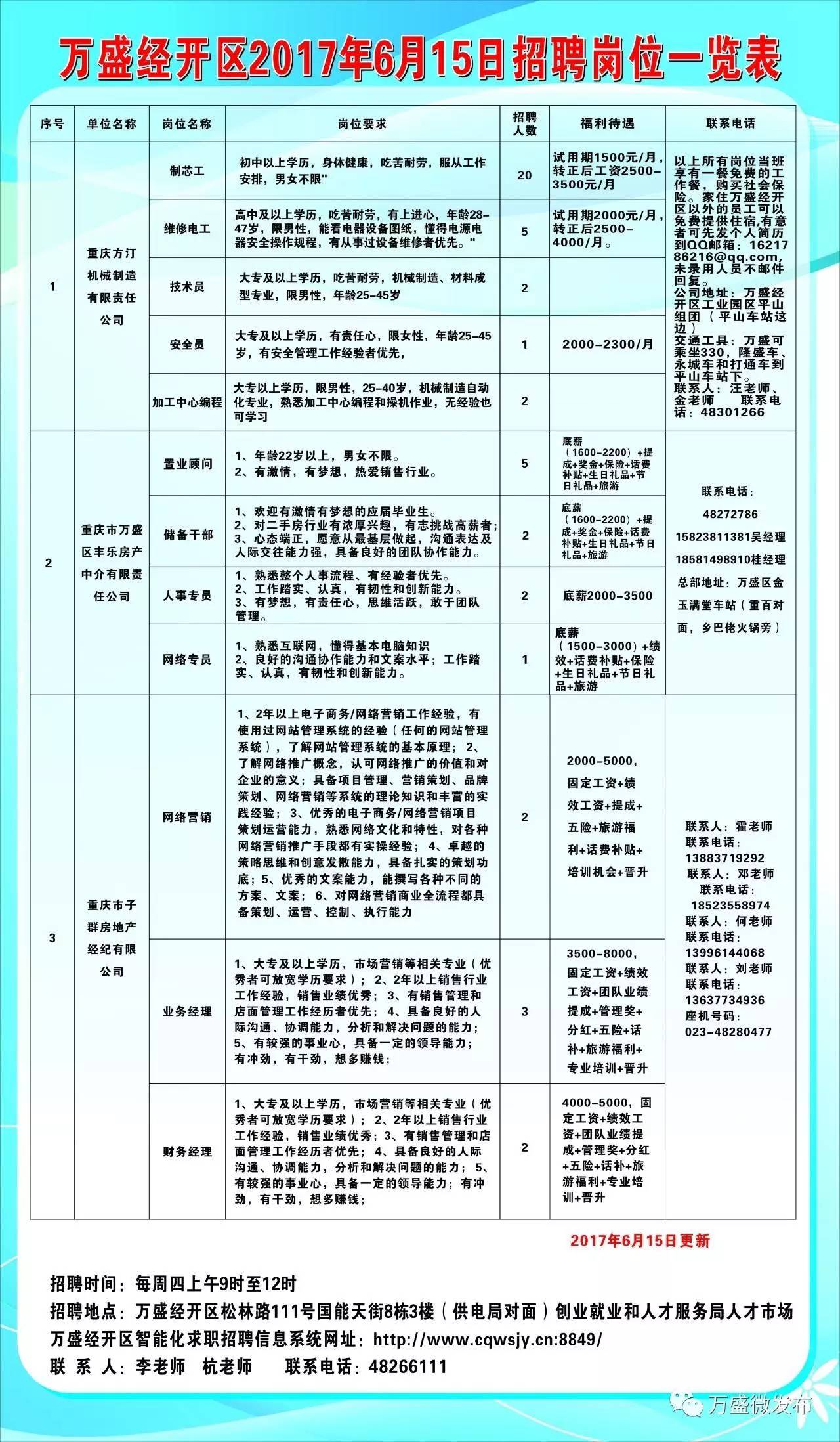 夜色中的猫